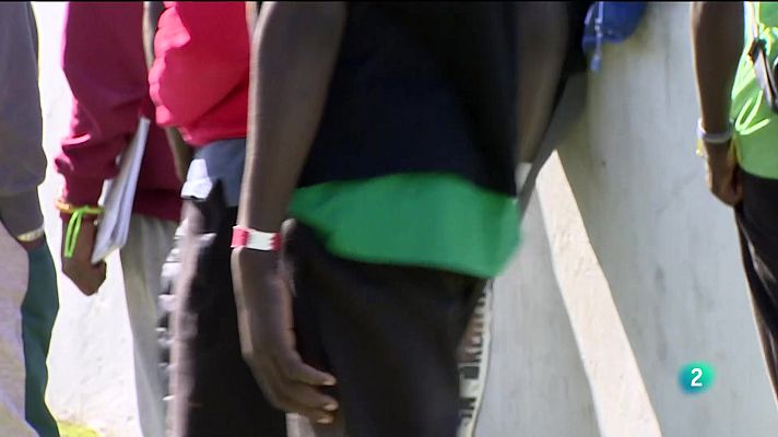 Telecanarias - Telecanarias tarde - 21/10/2025