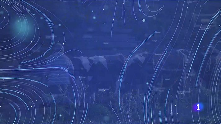 TeleCantabria - El tiempo en Cantabria - 23/10/2025