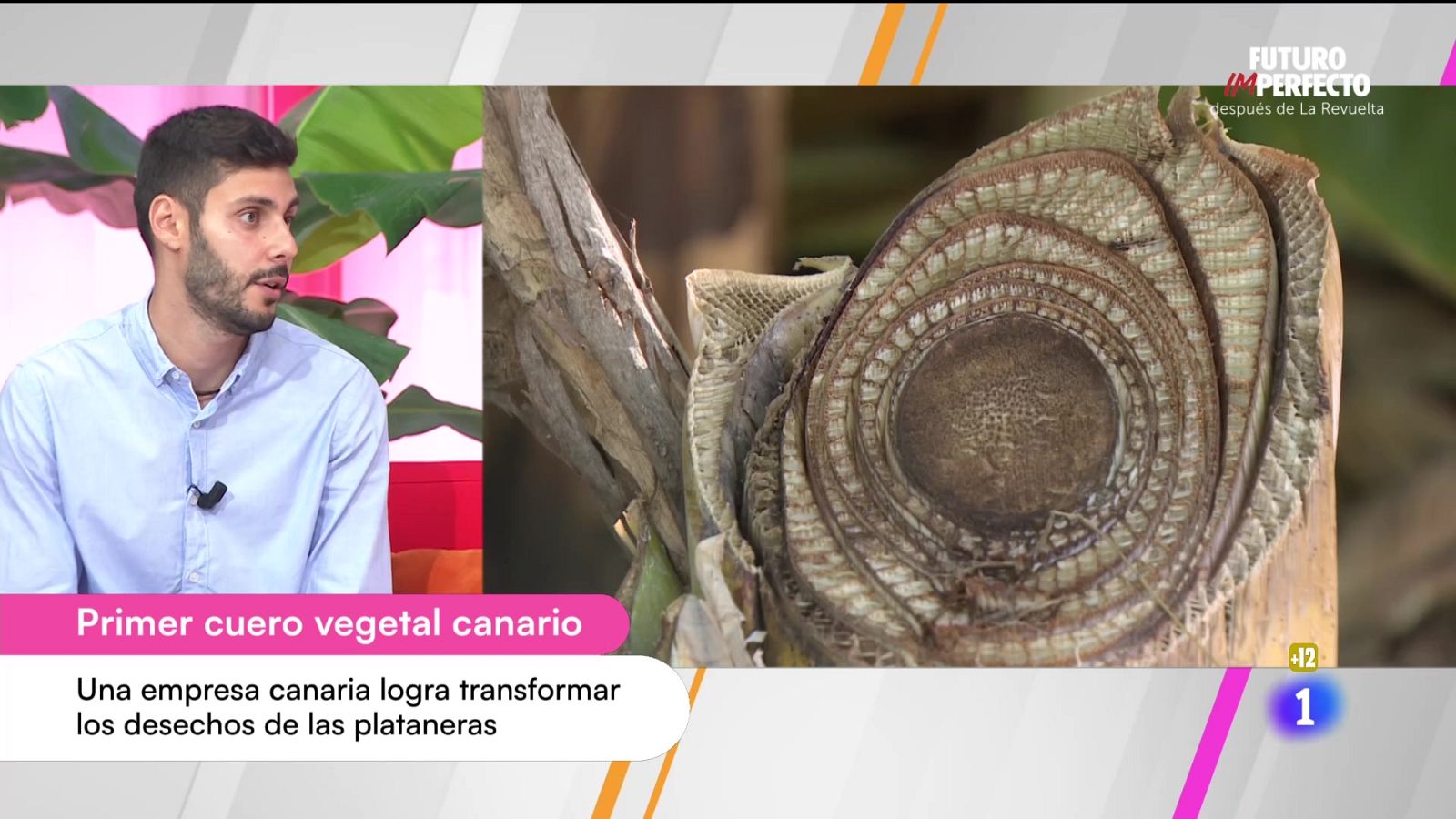 Cerca de ti - 23/10/2025 - Cerca de ti | Ver