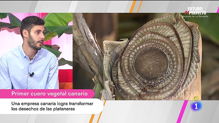 Cerca de ti - Cerca de ti - 23/10/2025