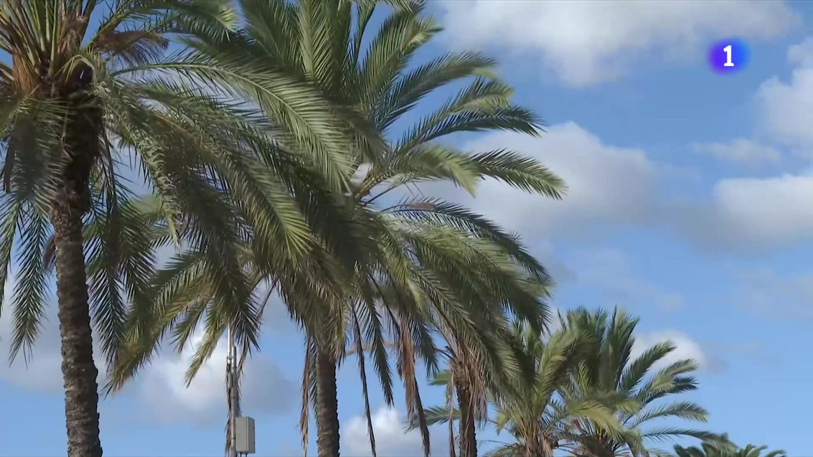 Dijous marcat per les fortes ventades a bona part de Catalunya