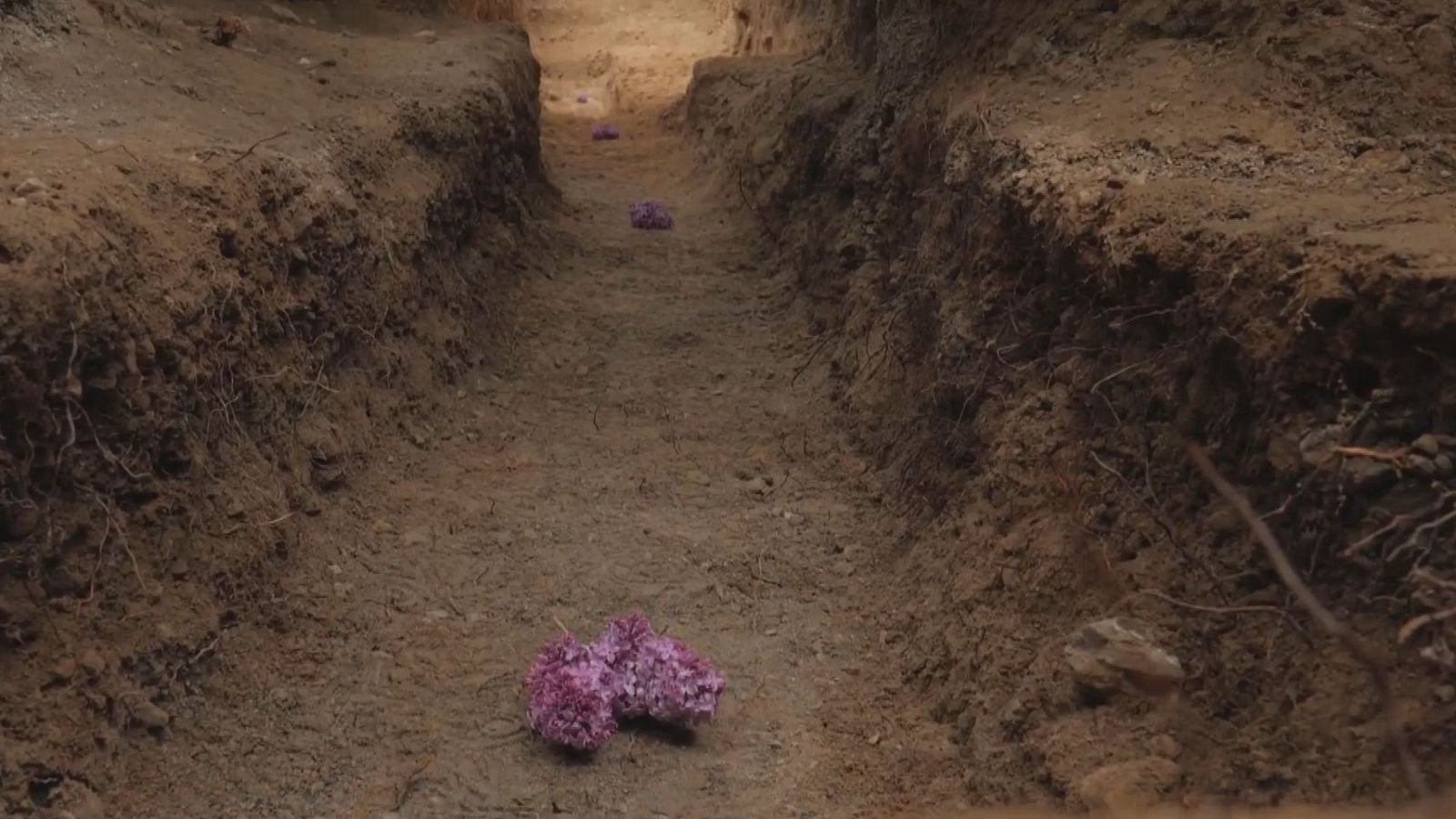 Exhumación de la fosa de Nigüelas I (Granada) | Ver ahora