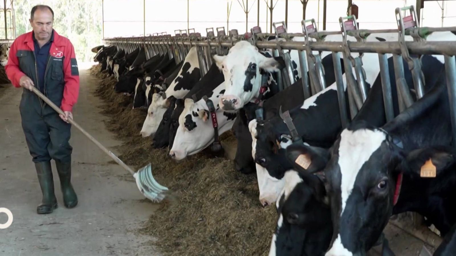 Agrosfera - 25/10/25 - Agrosfera | Ver