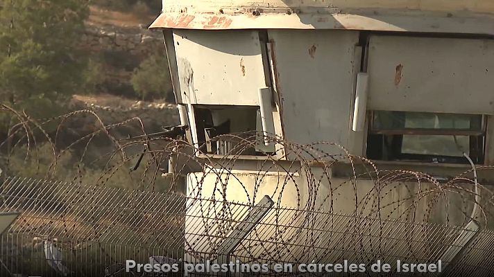 Telediario Fin de Semana - La deshumanización de la población palestina en las prisiones israelíes