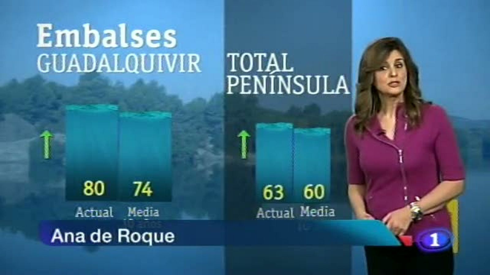 El tiempo en Andalucía - 30/01/13 | Ver