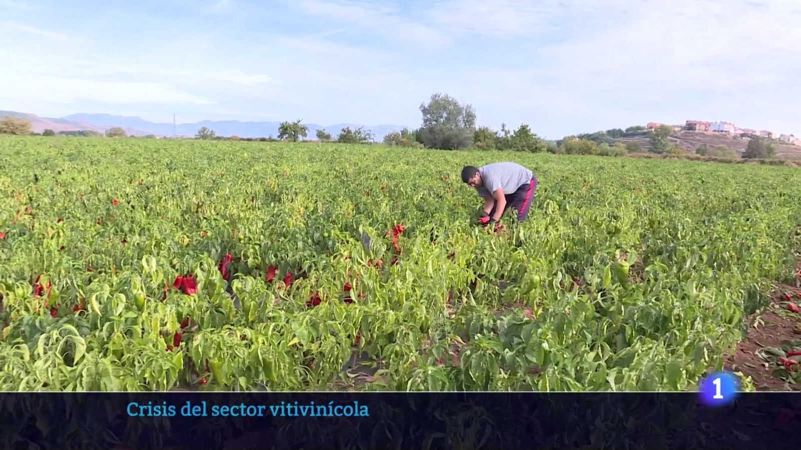 Informativo Telerioja 28-10-2025 Ver ahora | Ver