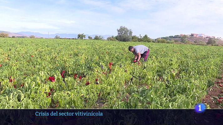 Informativo Telerioja - Informativo Telerioja 28-10-2025 Ver ahora