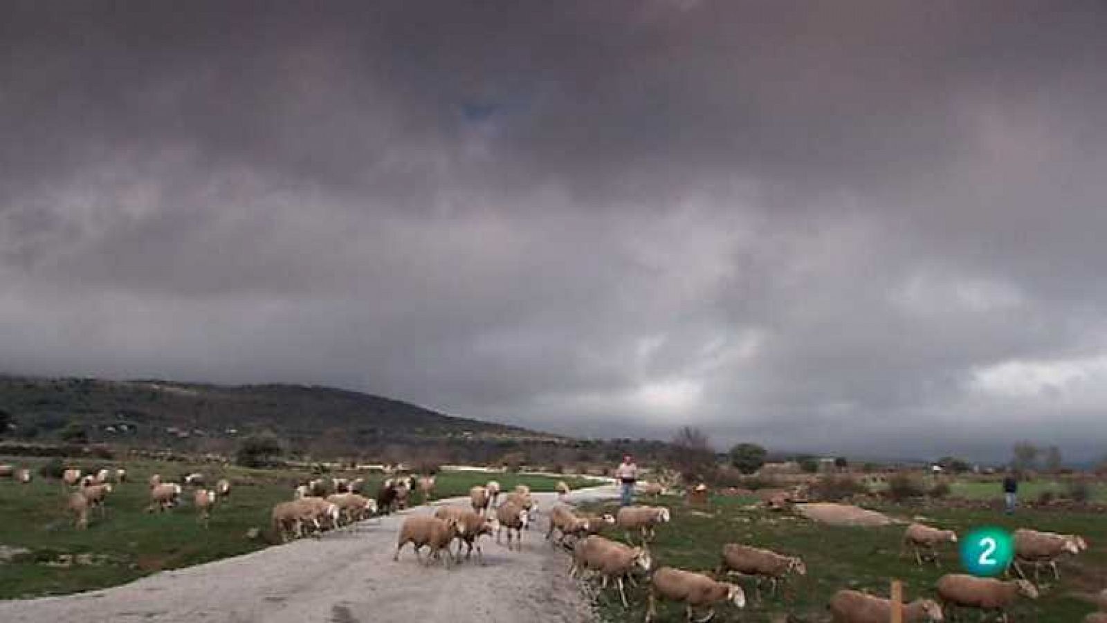 Biodiario - 30/01/13 - ver ahora