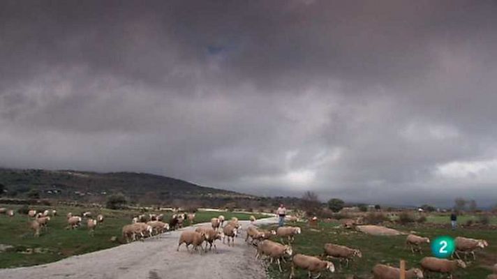 Biodiario - Biodiario - 30/01/13
