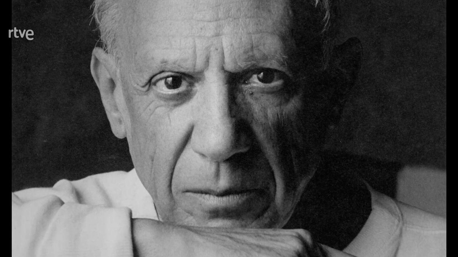 El barbero de Picasso | Ver