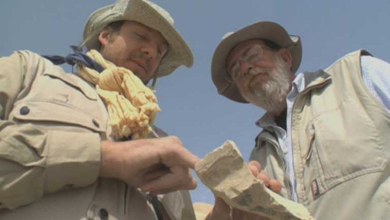 Desentierran el sarcófago de un niño que vivió hace 3.500 años en Luxor, Egipto