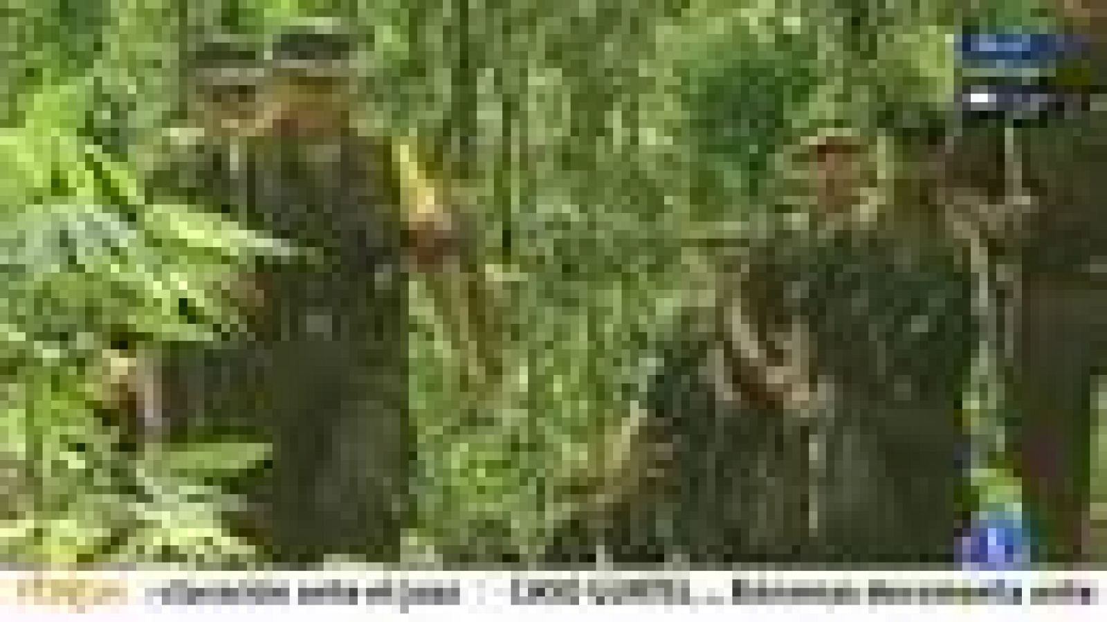 Telediario 1: Las FARC seguirán teniendo rehenes | RTVE Play