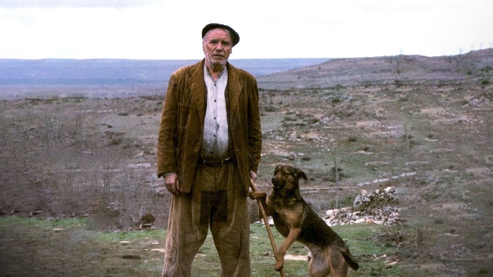 El disputado voto del Sr. Cayo | Ver películas gratis en RTVE Play - Somos cine | Ver película