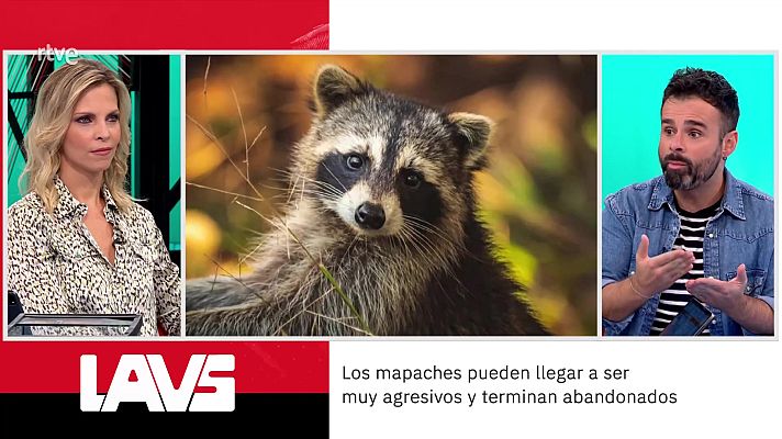 La aventura del Saber - Ricardo Moure. Especies invasoras