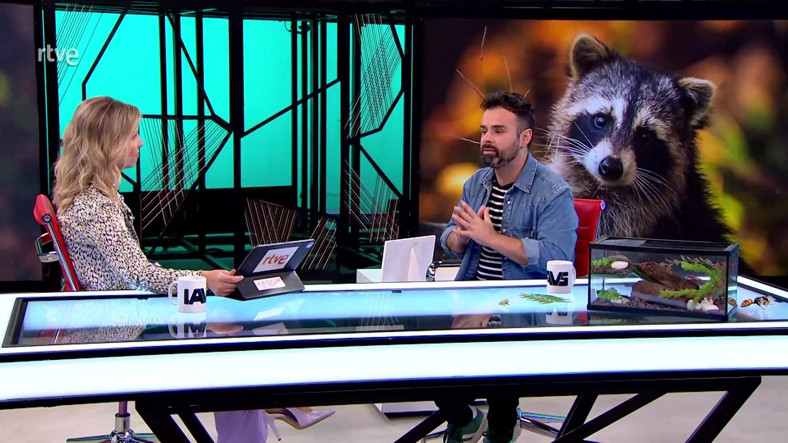 La aventura del saber - 30/10/25 - La aventura del Saber | Ver