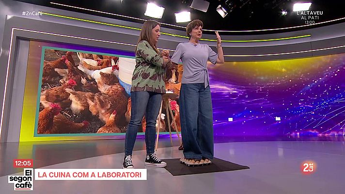 El segon cafè - La cuina com a laboratori: Agnes Pockels