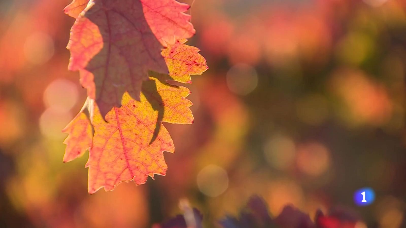 El tiempo en la rioja - 30-10-2025 | Ver