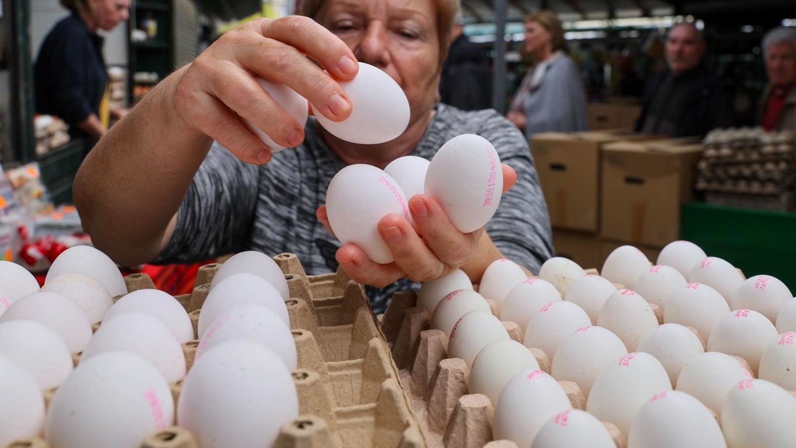 El precio de los huevos se dispara un 50% en los últimos meses | Ver