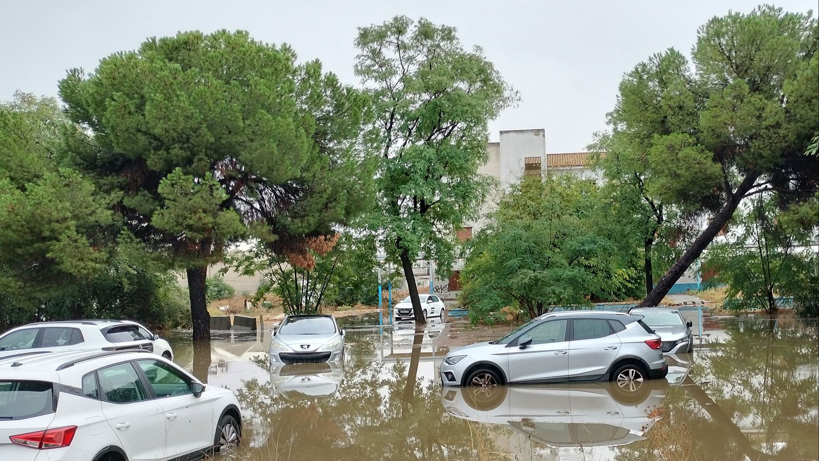 Las lluvias dejan dos heridos en Andalucía y múltiples destrozos - Telediario 2 | Ver