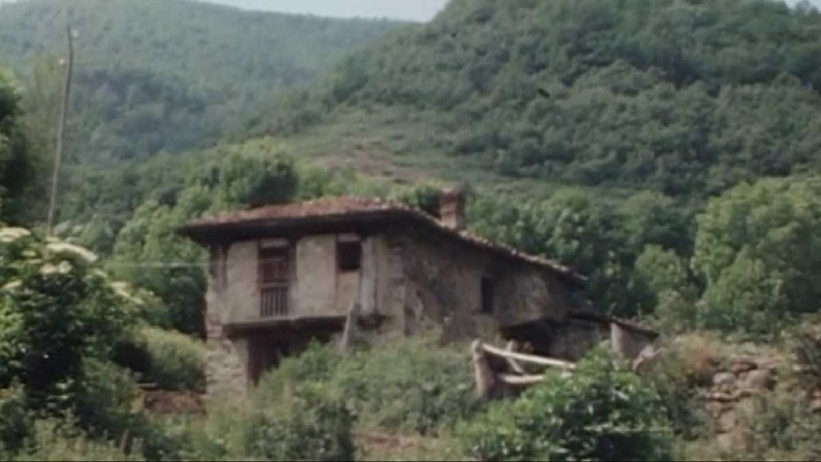 España, historia inmediata - La guerrilla - España, historia inmediata | Ver