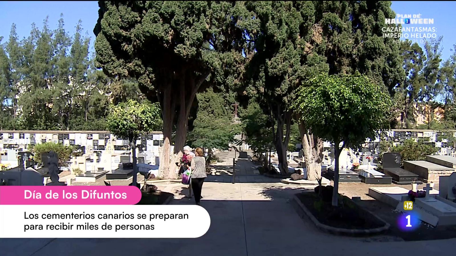 Cerca de ti - 31/10/2025 - Cerca de ti | Ver