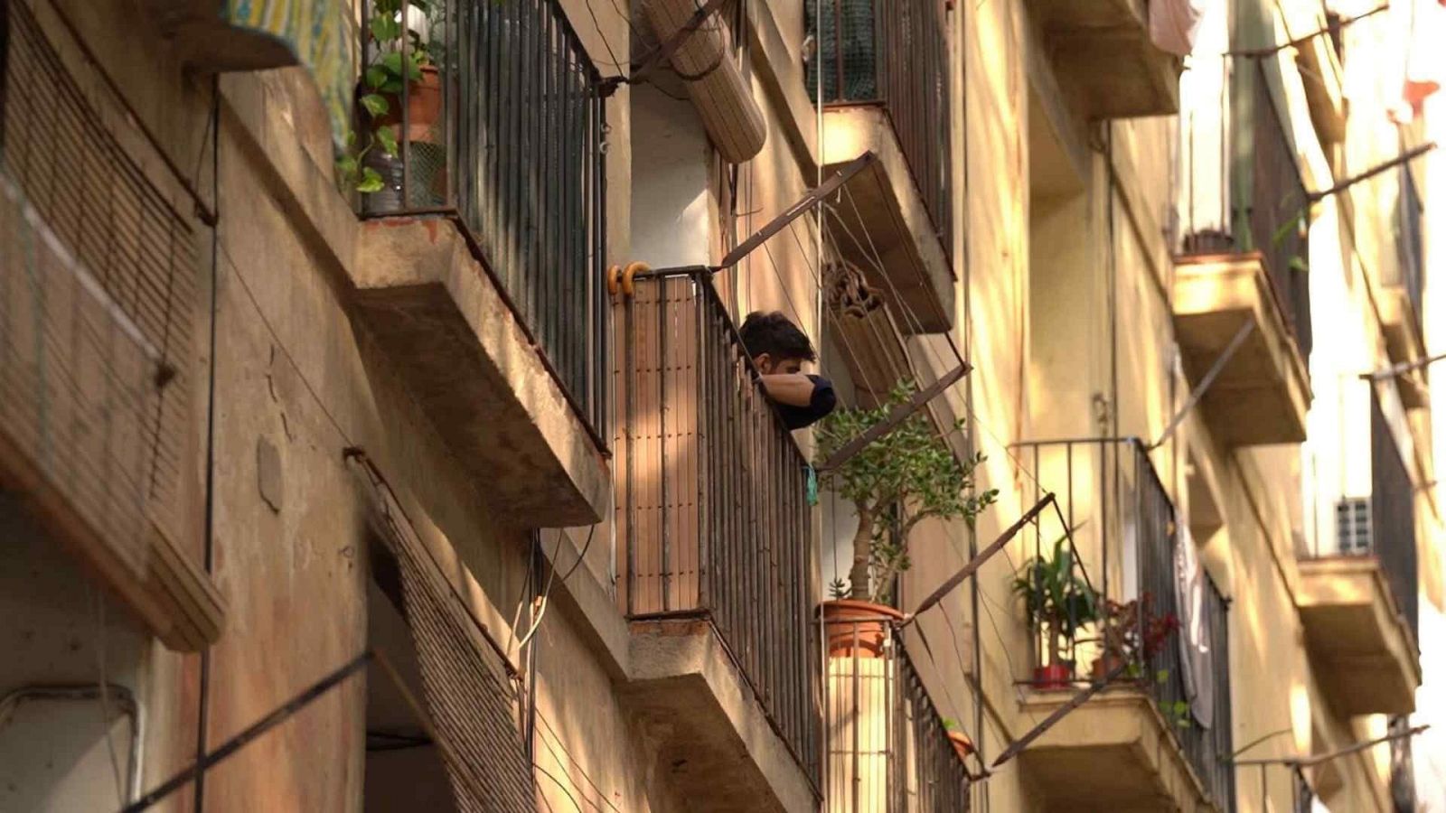 Informe semanal - 01/11/25 - Lengua de signos - Informe Semanal en lengua de signos | Ver