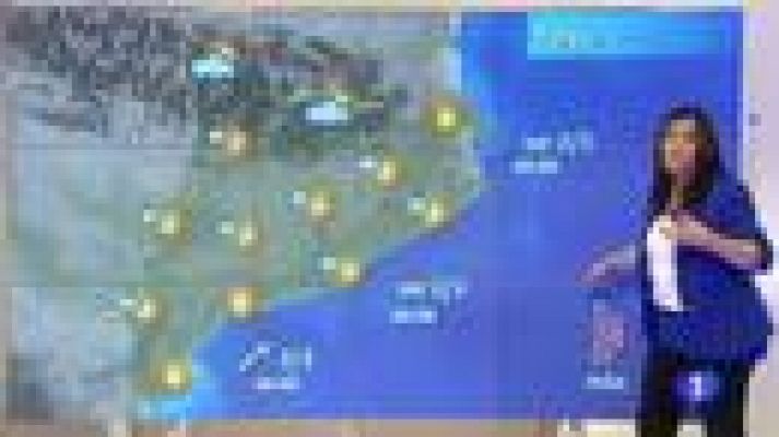 L'Informatiu - El Temps - 31/01/2013