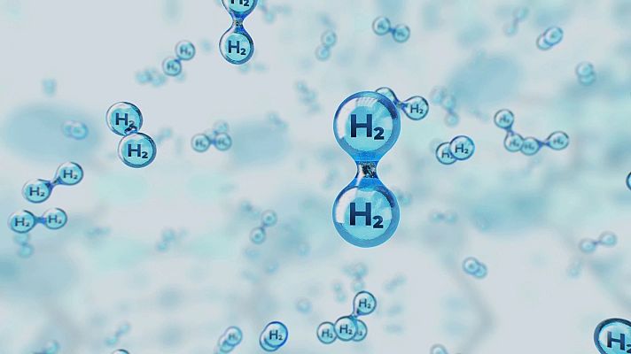 El escarabajo verde - Primer elemento