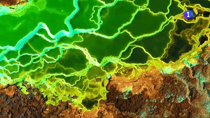 L'Informatiu - 64 documentals que volen despertar consciències