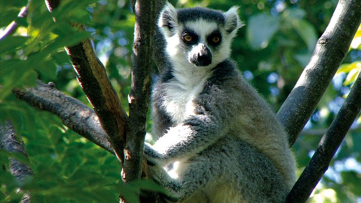 Lugares extraordinarios del mundo - Madagascar