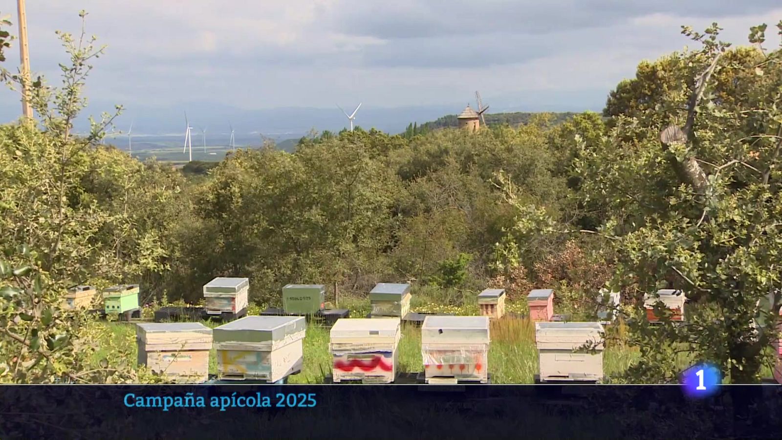 Informativo Telerioja 04-11-2025 | Ver