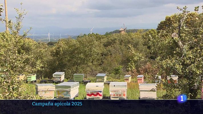 Informativo Telerioja - Informativo Telerioja 04-11-2025