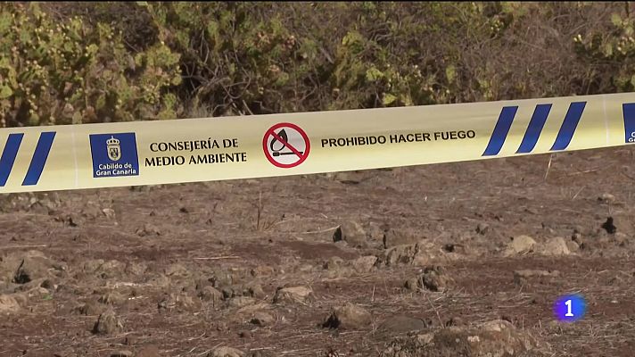 Telecanarias - Telecanarias - 04/11/2025