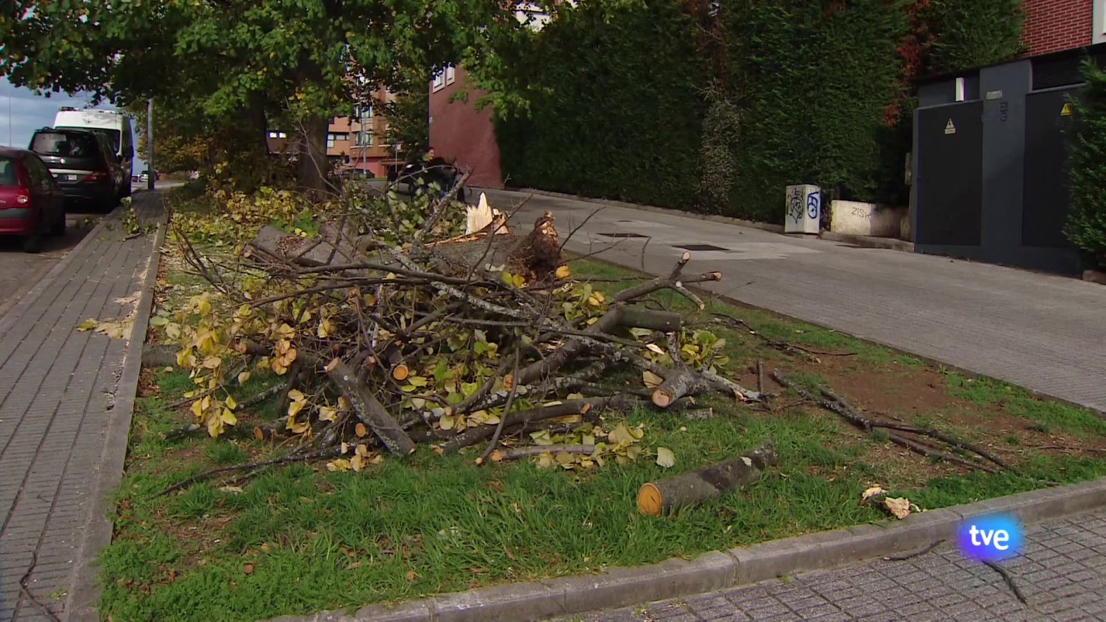 Panorama Regional - 05/11/2025 - Ver ahora