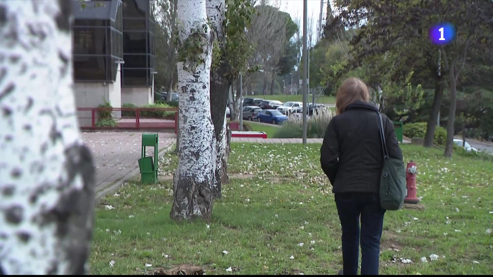 L'Informatiu 2 - 05/11/2025