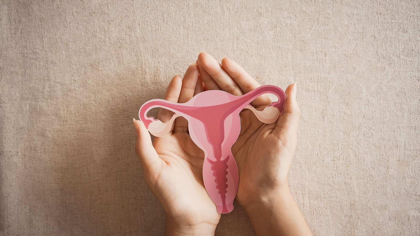 Entrevista a María José Artuch sobre los pellets hormonales - La tarde en 24h | Ver