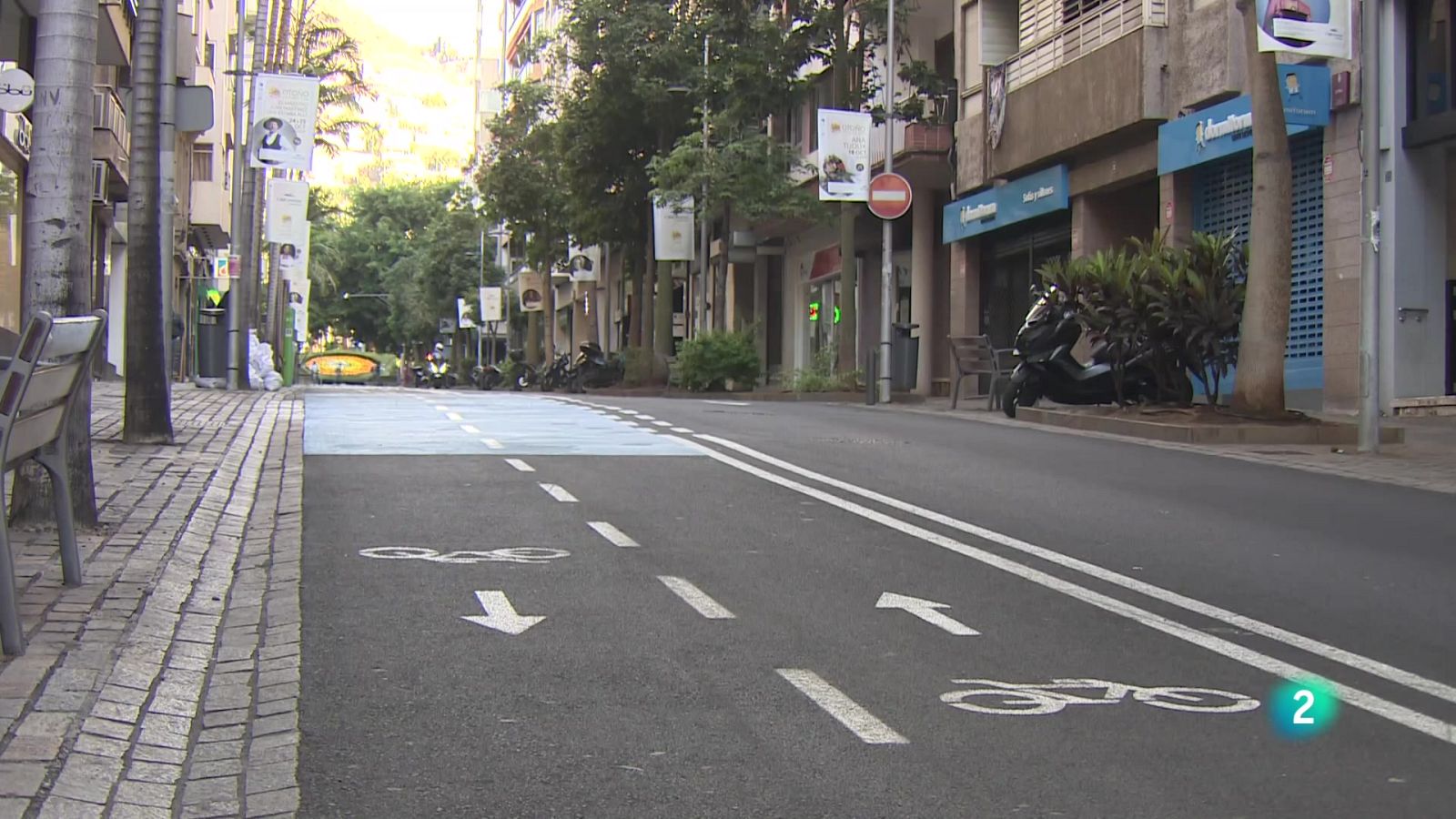 Telecanarias Tarde - 05/11/2025 | Ver