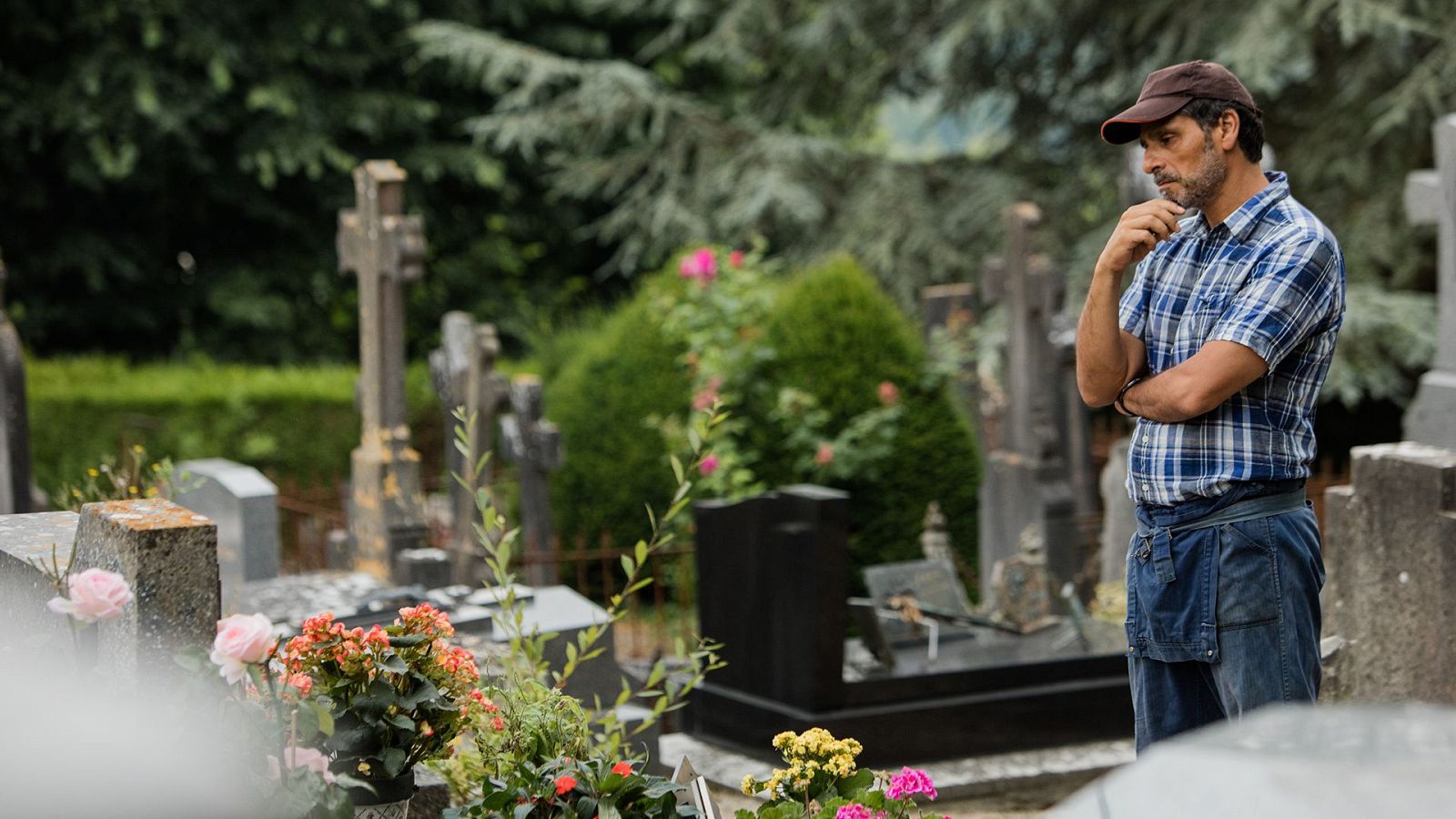 El tipo de la tumba de al lado | Ver películas gratis en RTVE Play - Cine internacional | Ver película