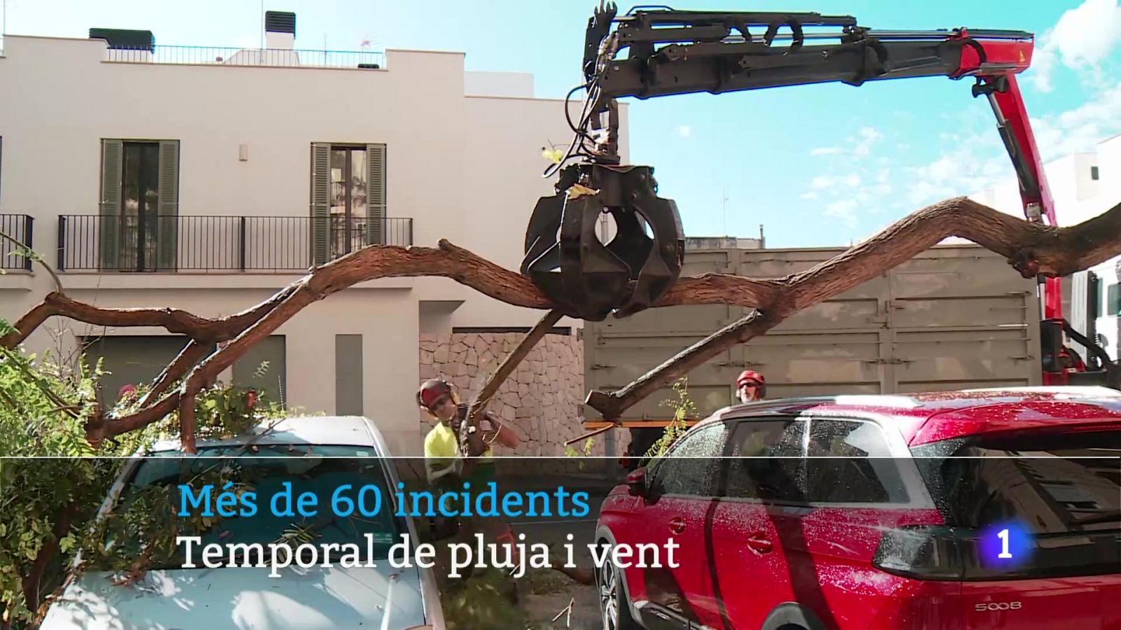 Informatiu Balear 1 - 06/11/25 Veure ara