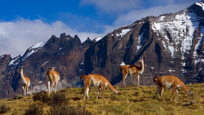 Lugares extraordinarios del mundo - Los Andes