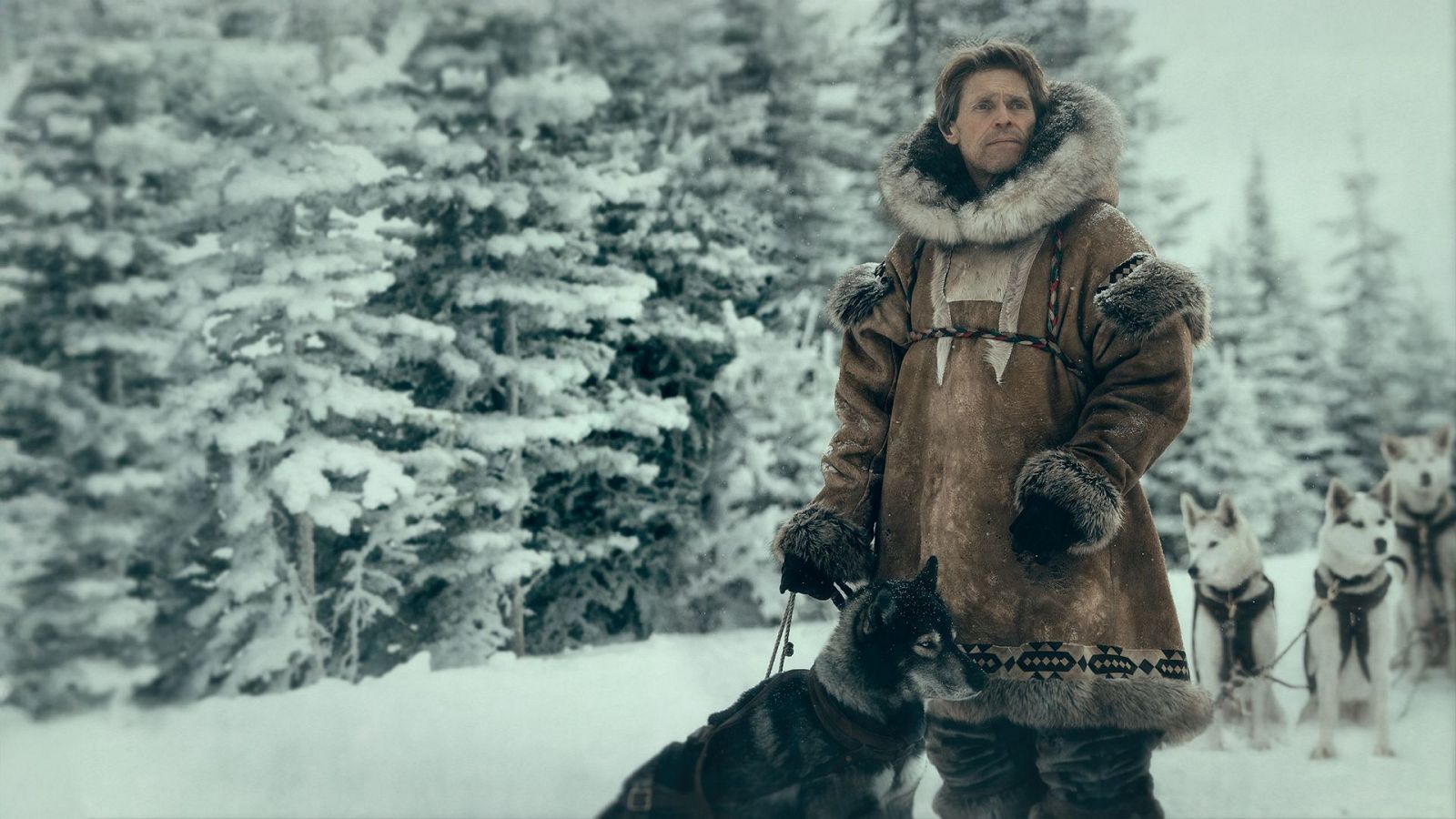 Togo. La historia jamás contada | Ver películas gratis en RTVE Play - Cine internacional | Ver película