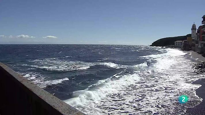 Telecanarias - Telecanarias Tarde - 07/11/2025