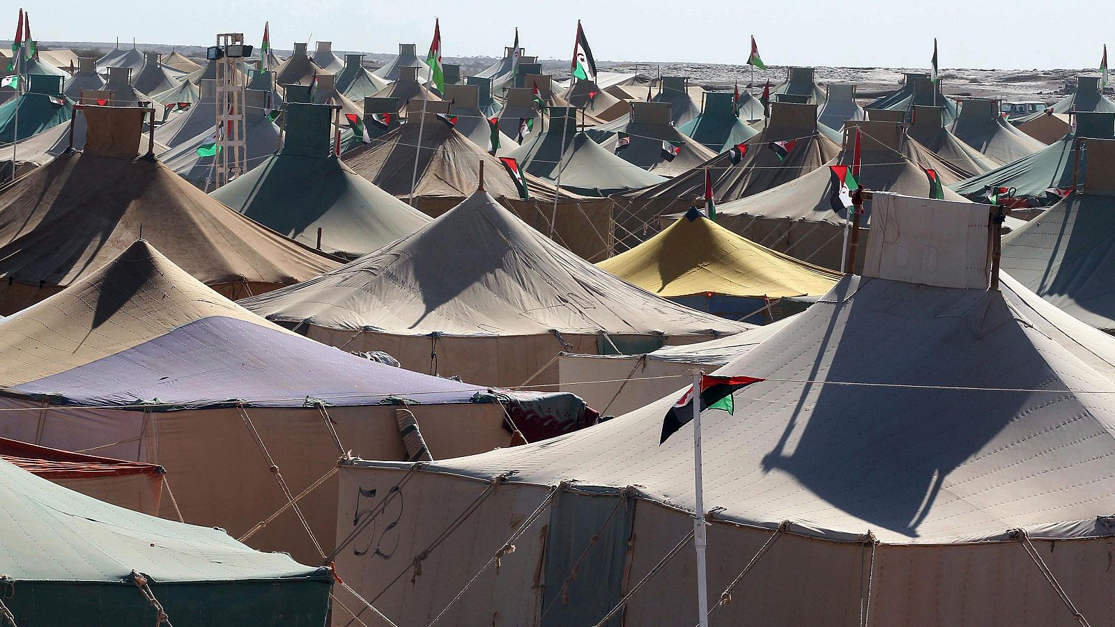 Escasez en los campamentos saharauis | Ver