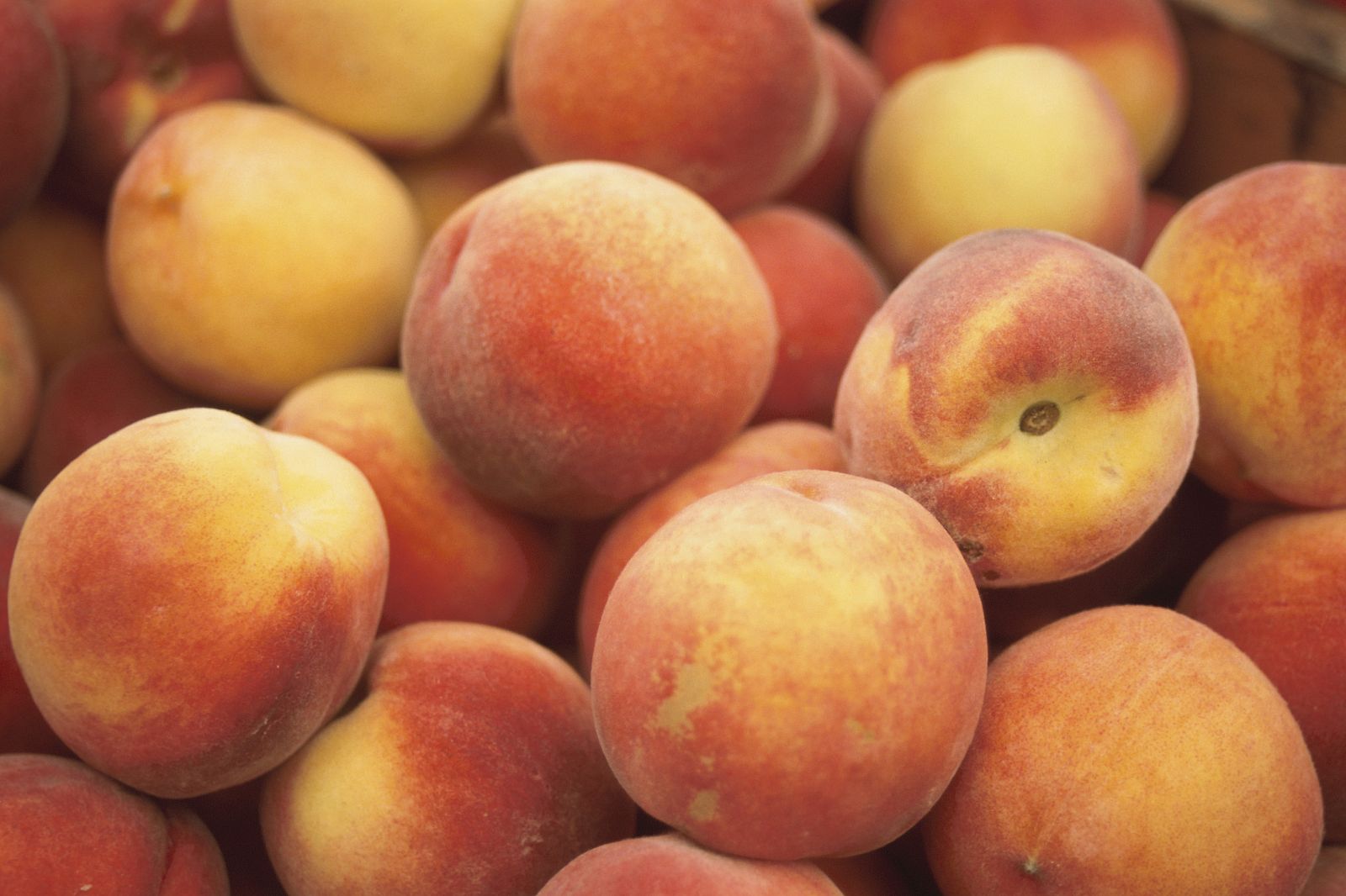 El cambio climático reduce los nutrientes en la fruta | Ver