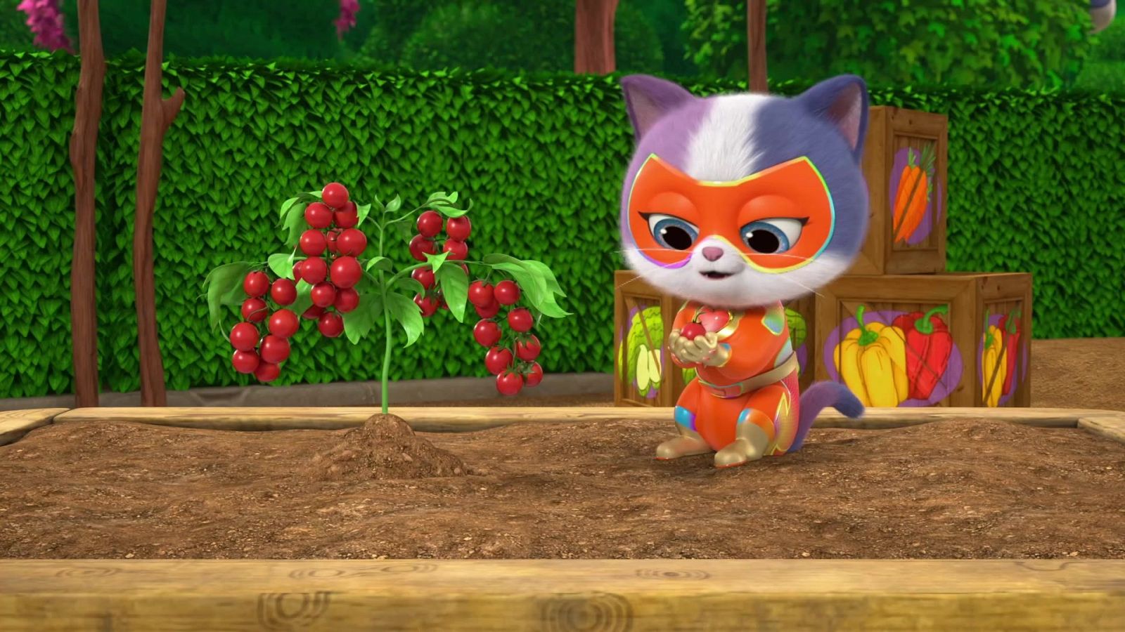 Seed stealer - Superkitties en inglés | Watch