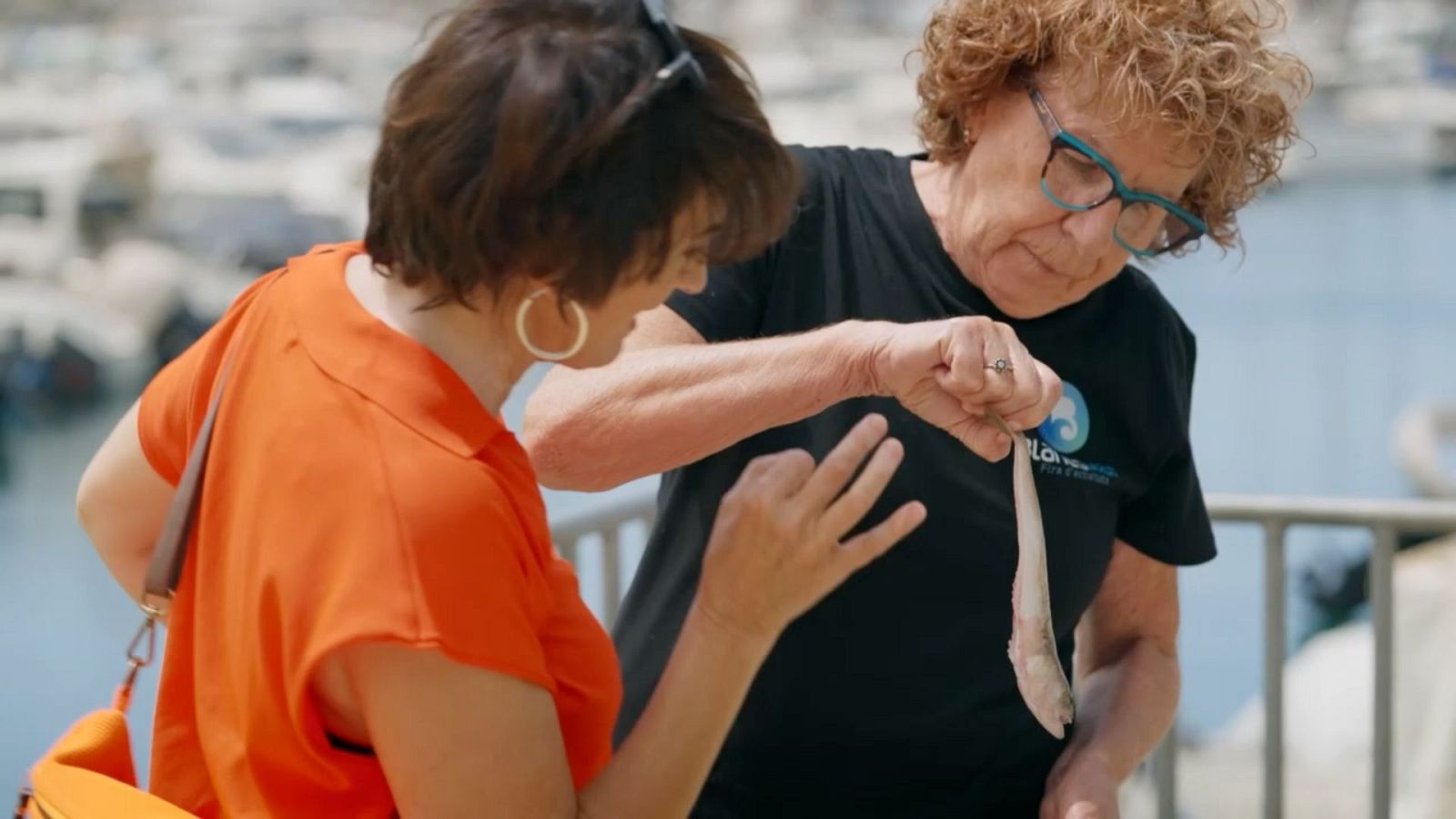 La recepta perduda – Aranya amb patates a Blanes - La recepta perduda | Ver