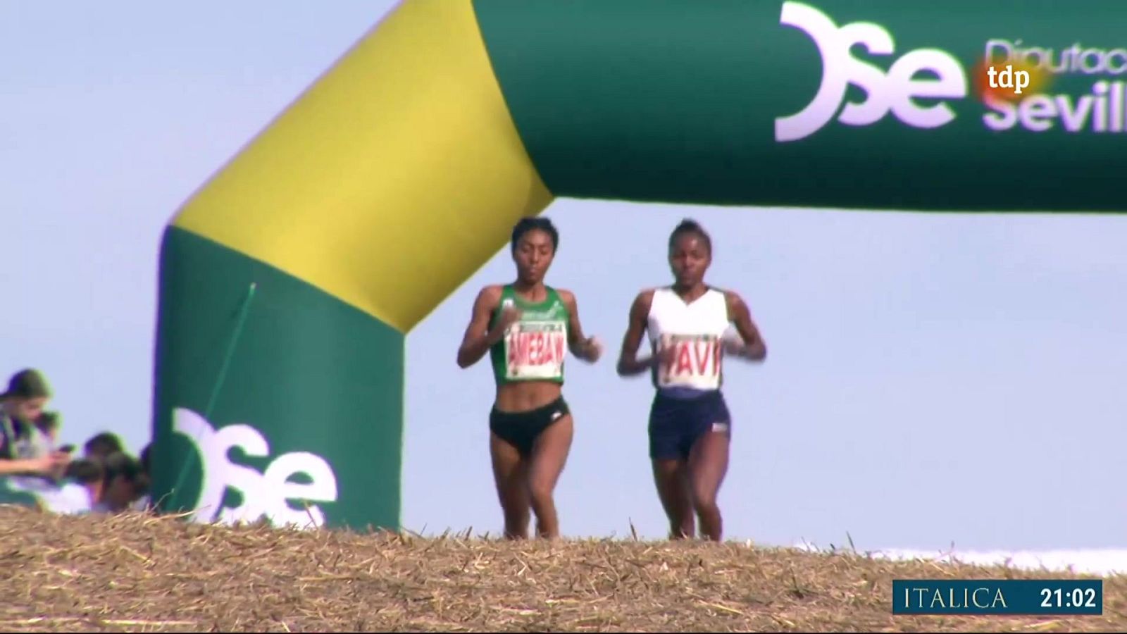 Cross Internacional de Itálica. Carrera Femenina y Masculina - Cross | Ver