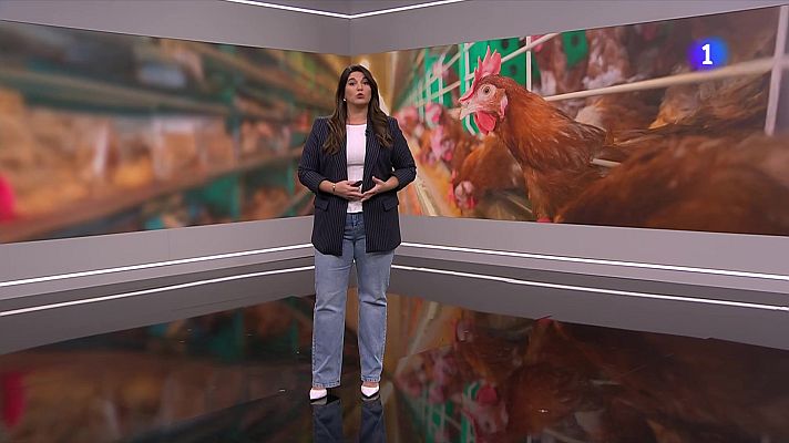 L'Informatiu - L'Informatiu 2 - 10/11/2025