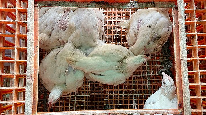 Telediario 1 - Telediario 1 en 4' - 10/11/25