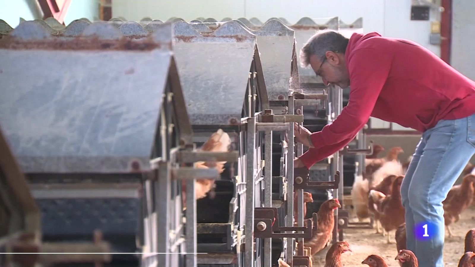 L'Informatiu Comunitat Valenciana 2 - 10/11/25 | Ver